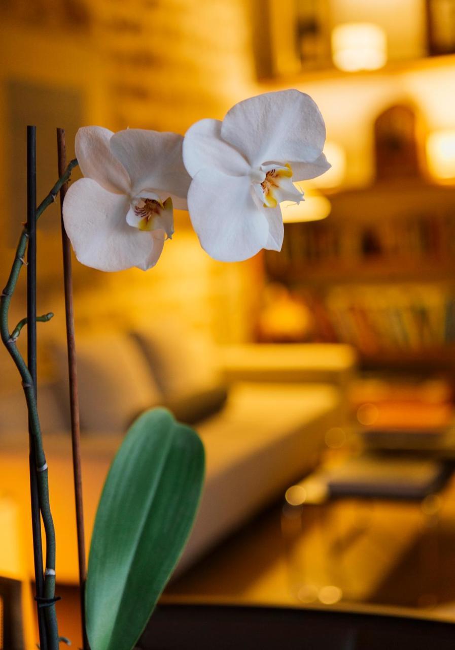 Hotel Cresol Calaceite Dış mekan fotoğraf